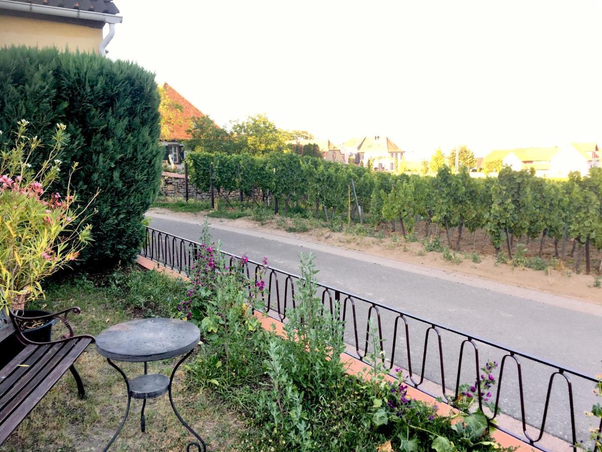 Ferienwohnung Suedpfalzblick เบอร์ไวเลอร์ ภายนอก รูปภาพ